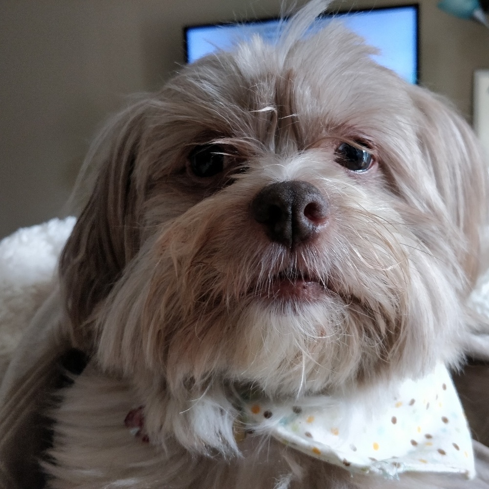 Meet your Posher, Wendy